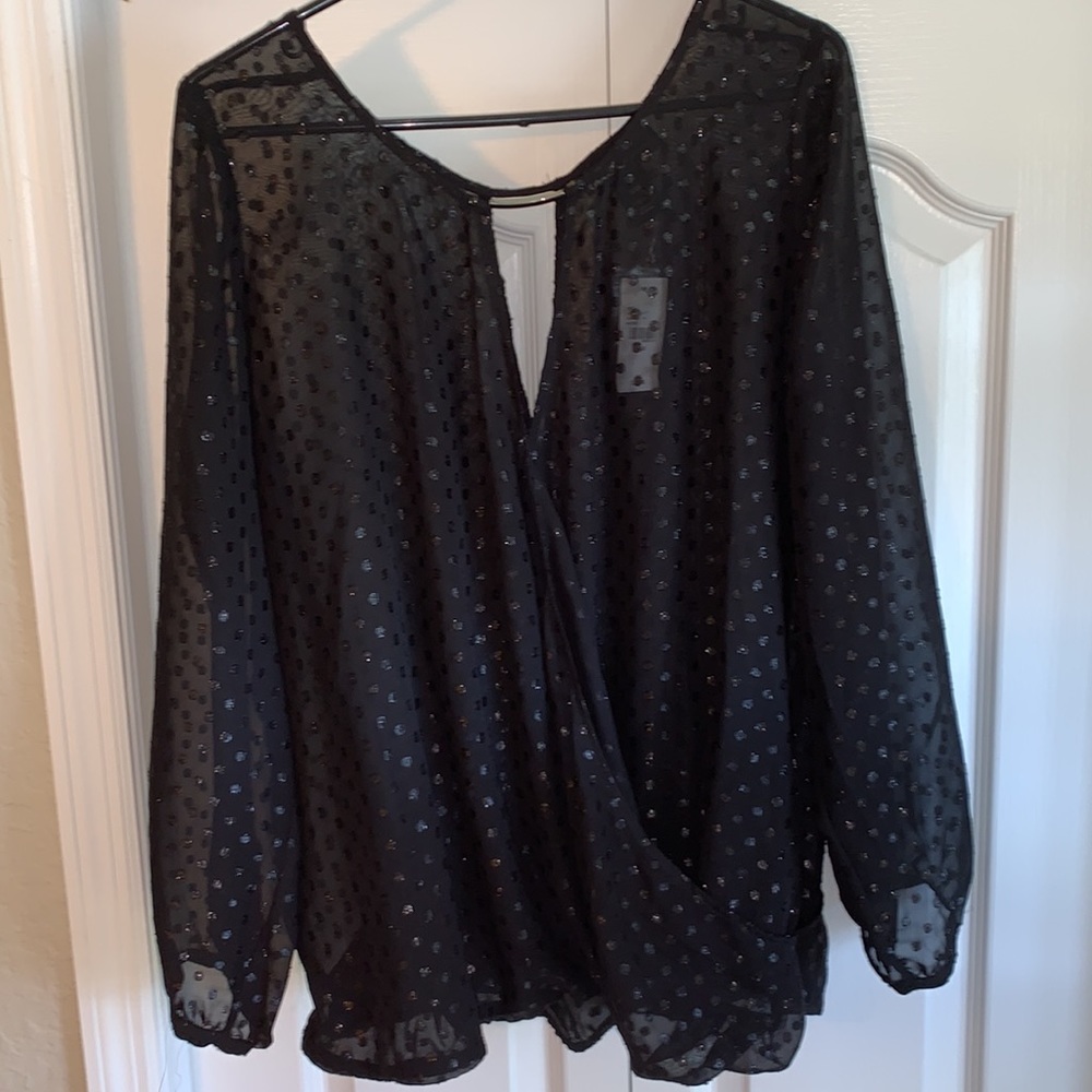 Beautiful, Sheer blouse by Lane Bryant.